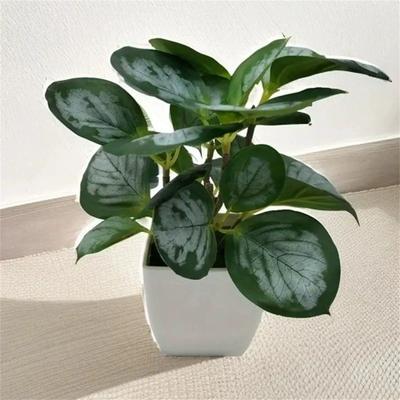 Artificial Potted Watermelon Leaf Plant Faux Decorative Leaf For Living Room Highly Realistic Foliage For Home Furnishings Money Plant
