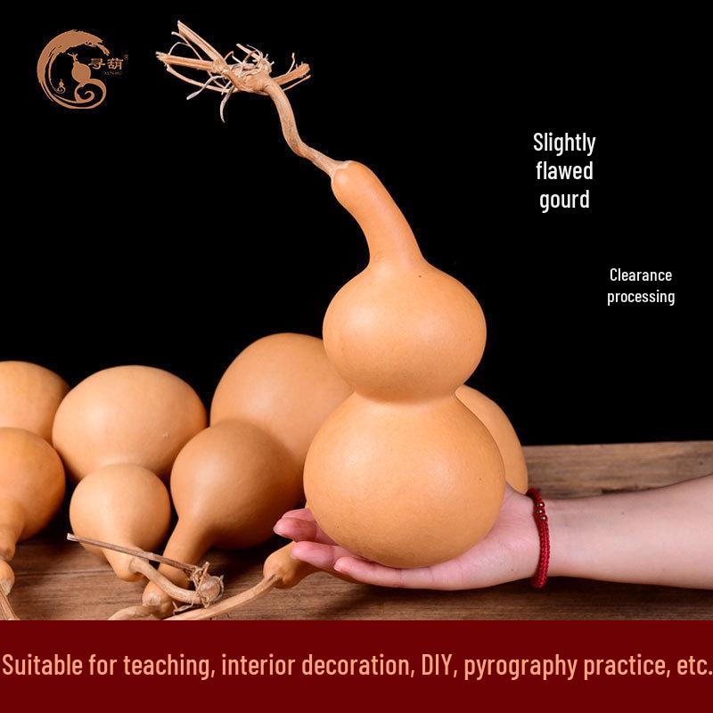 

Natural Hand-Twisted Gourd with Gold Finish - Medium Collector s Craft