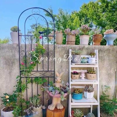 Clematis and Rose Climbing Frame: Garden Flower Stand & Outdoor Fence Trellis