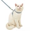 Newest Cute Rabbit Harness and Leash Set Bunny Pet Accessories Vest Harnesses Rabbit Leashes for Outdoor Walking Pets Supplies