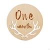 12 Pcs Beautiful Wooden Monthly Cards Newborn Photoshoot Props Growth Markers