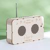 DIY Multifunctional Radio Recorder: Educational Toy for Science Experiments