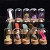 25Pcs Natural Crystal Quartz Mineral Set With Glass Display Jar Wooden Gift Box Teaching Collection Specimen Decorative Ornament