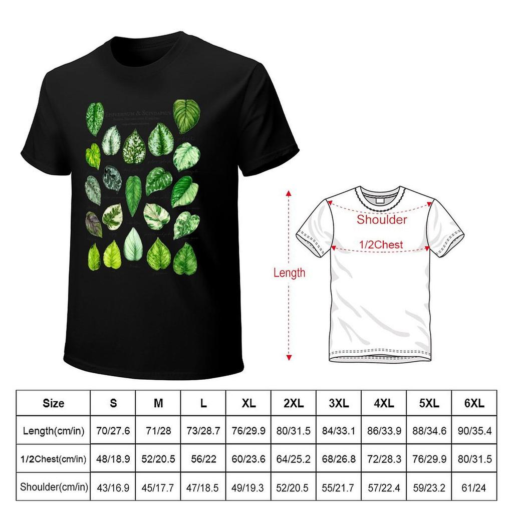 Scindapsus pothos varieties light TShirt oversized oversized graphic tee sublime plus size clothes Tshirts for men cotton