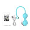 APP Kegel Ball for Women Vaginal Tightening Training Vibrator Benwa Ball Geisha Pelvic Muscle Trainer Female Adult Sex Toy