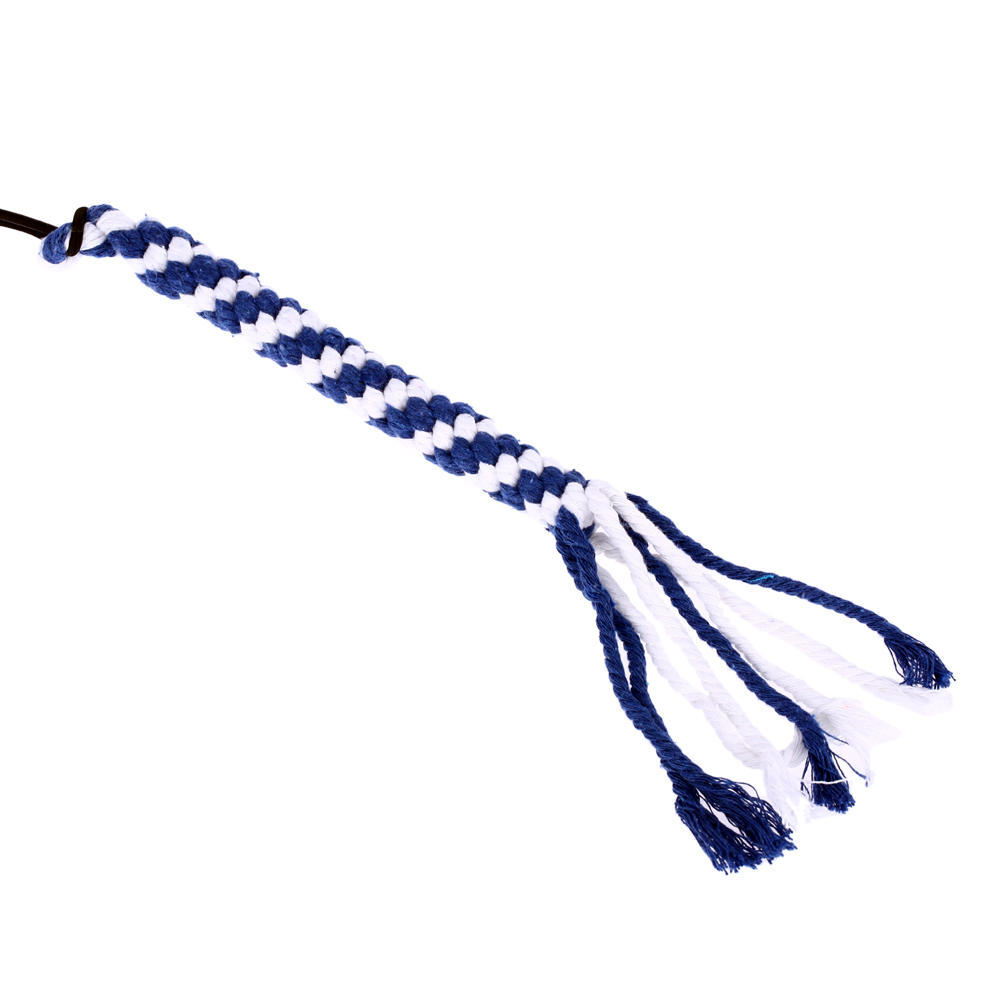 Utdragbar Hund Valp Retpinne Stav Utomhus Interaktivt Husdjur Hund Flirtpinne Träning Övningsrep