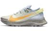 Nike Pegasus Trail 2 Czysty Platynowy Skamieniały Laserowy Pomarańczowy Damskie CK4309-001