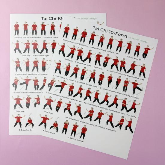 2Pcs Tai Chi Exercise Chart, 10 Form Mirror Image Poster, Move Guide for Beginners Seniors, Tai Chi Training Reference Wall Art