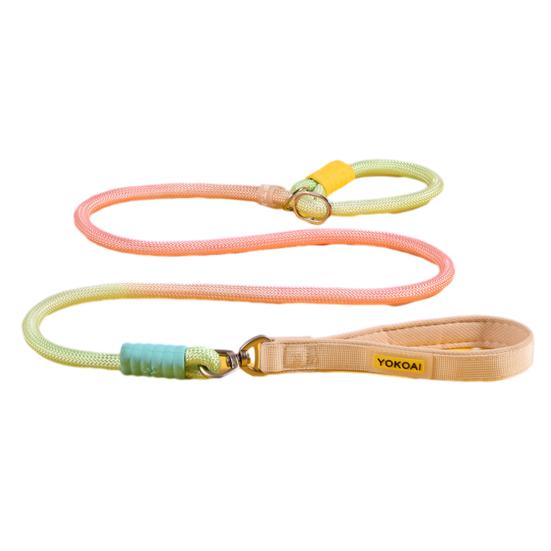 Slip Lead Dog Leash 5Ft Heavy Duty Rope Leash No Pull Pet Training Lead Slip Leash for Large Medium Dogs S бежевый