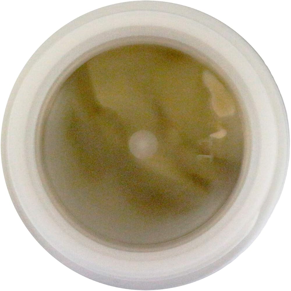 SHIMANO (SHIMANO) Genuine Service Grease ACE-0 03305DG01