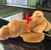 [USED] Summer Holiday Limited Price! Excellent Condition! Steiff Teddy Bear