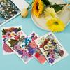 4Sheets Dried Flower DIY Bulk Scrapbooking Pressed Flower Resin Art Crafts Natural Dry Pressed Flowers Decor for Ornament Making