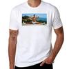 Jean Claude Van Damme Splits Camisetas lisas fãs de esportes moletons masculinos