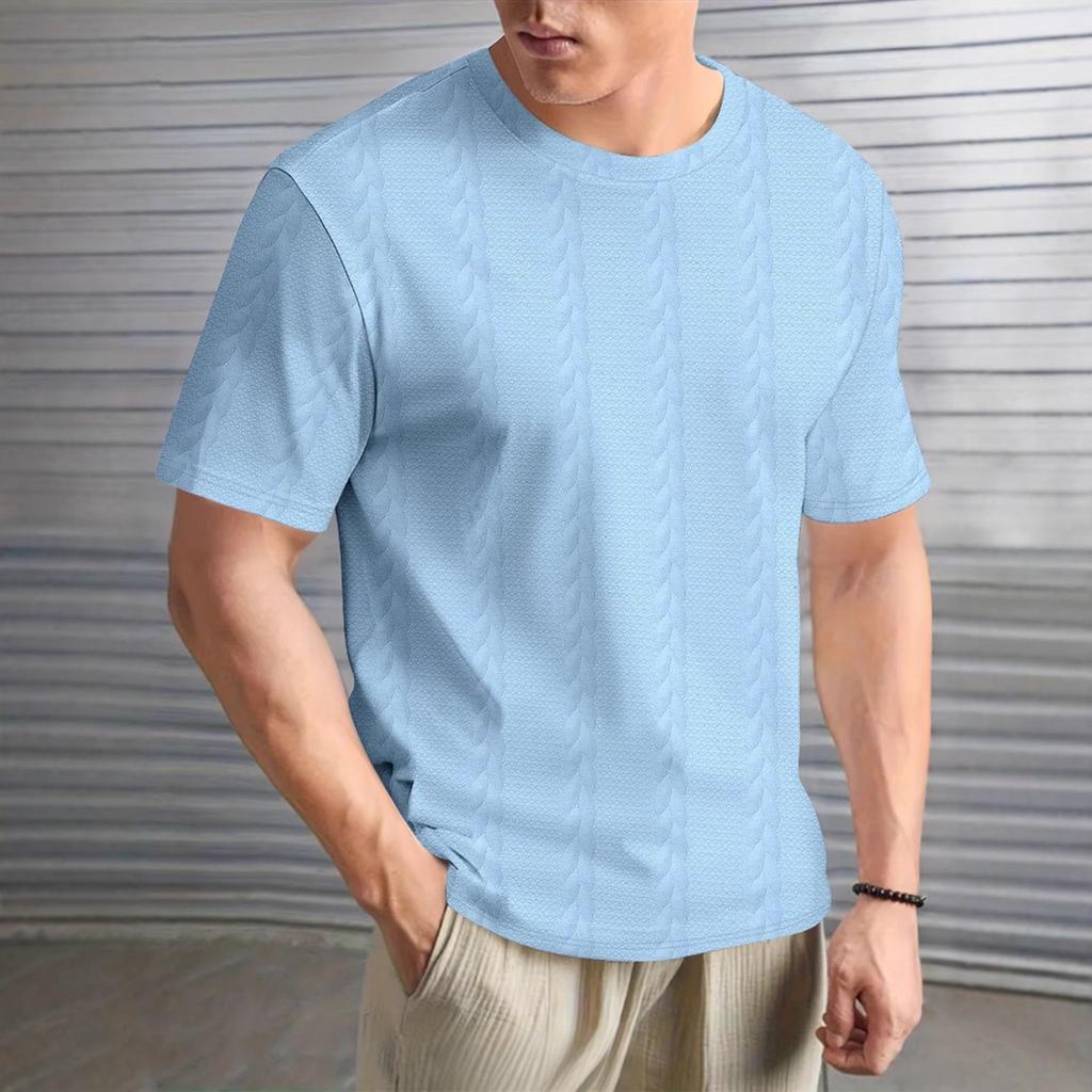 Herren Sommer Einfarbig Gedreht Sommer Lässig Rundhals Pullover Kurzarm T-Shirt Tops