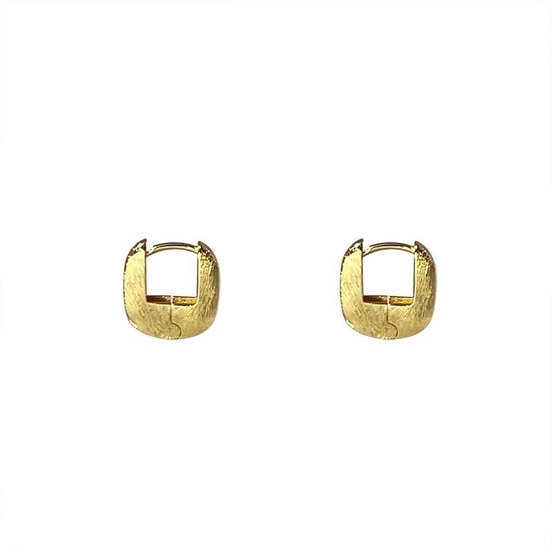 Simple Geometric Frosted Earrings Female Cold Wind Temperament Earring Buckle Niche Hundred with Earrings Affordable Dainty Earrings Daily Wear