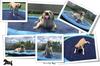 Fountain Mat Pool Pet Fountain Dog Foldable Baby Easy to Summer Water For and Large Dogs [Large, 150cm] Pool, Kids' Mat, Heavy-Duty Pool, Kids' Pool,