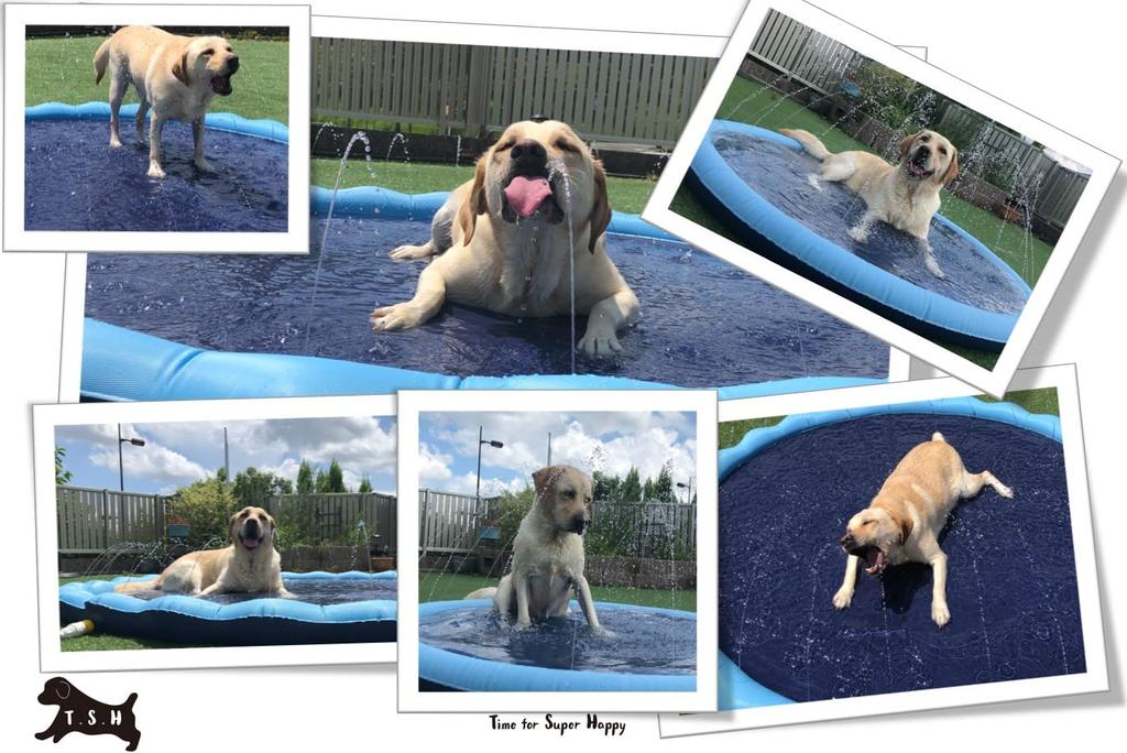 Fountain Mat Pool Pet Fountain Dog Foldable Baby Easy to Summer Water For and Large Dogs [Large, 150cm] Pool, Kids' Mat, Heavy-Duty Pool, Kids' Pool,