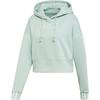 Originals Coeeze Crop Comfortable Short Hoodie Women Hoodies Green DU2344