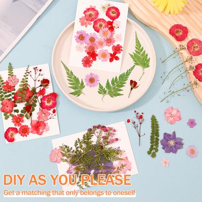 104/96/94Pcs Pressed Dried Flowers Set Real Natural Pressing Floral Leaves DIY Multipurpose Real Pressed Flowers Dry Leaves Kit