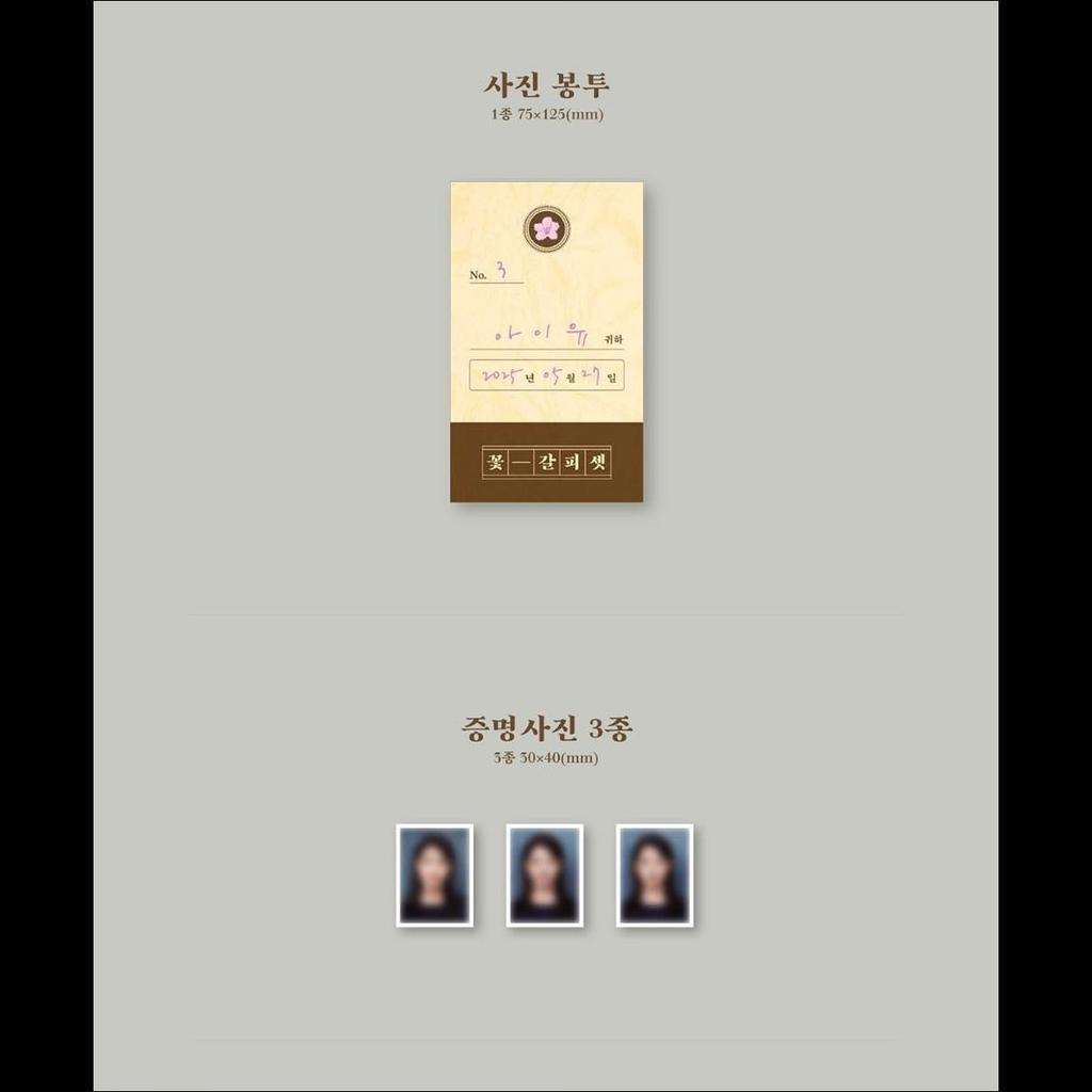 IU Remake Album [Kkot-Galpi 3]