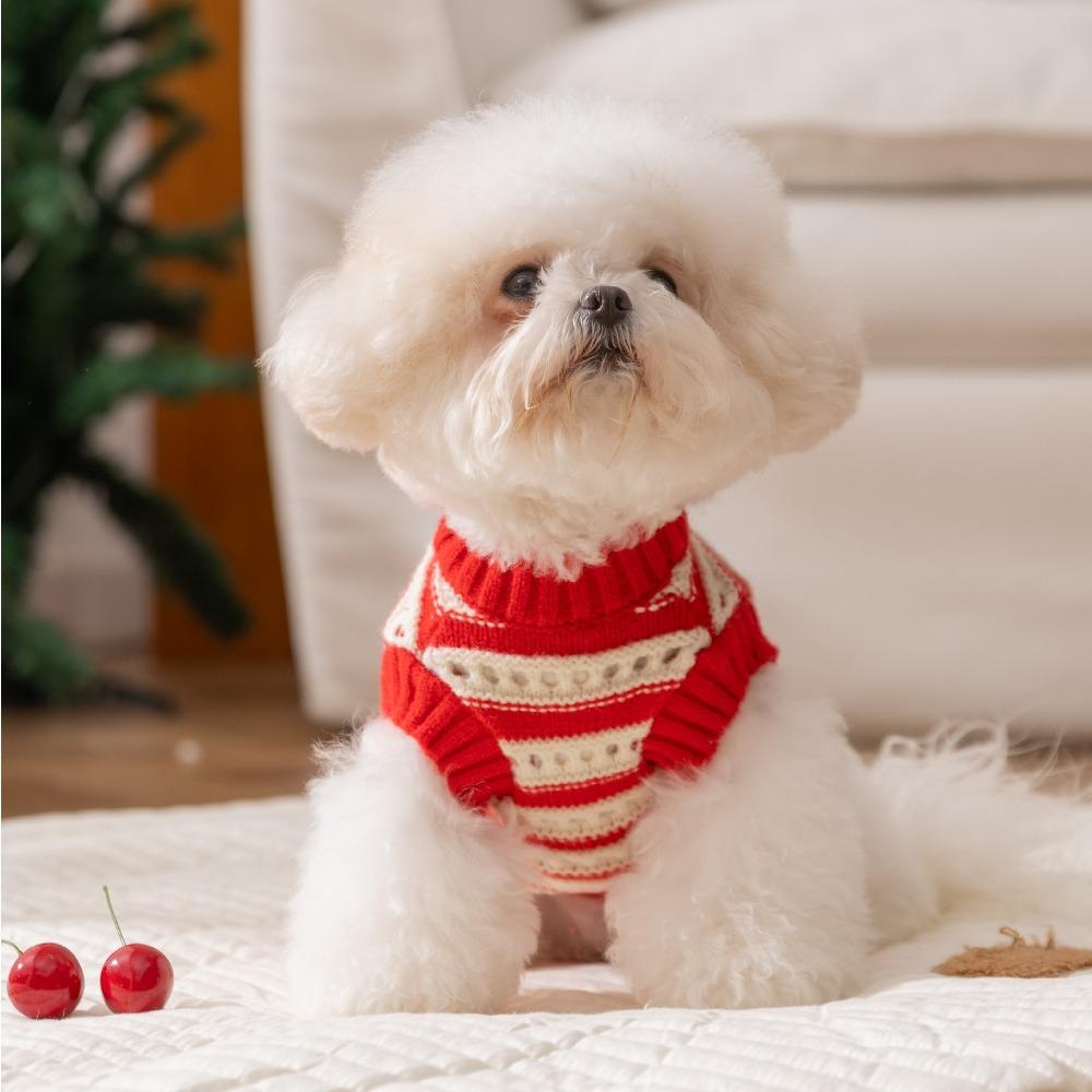 Pet clothes autumn and winter christmas needle red knitted cherry sweater teddy bear small dog two-legged dog clothes