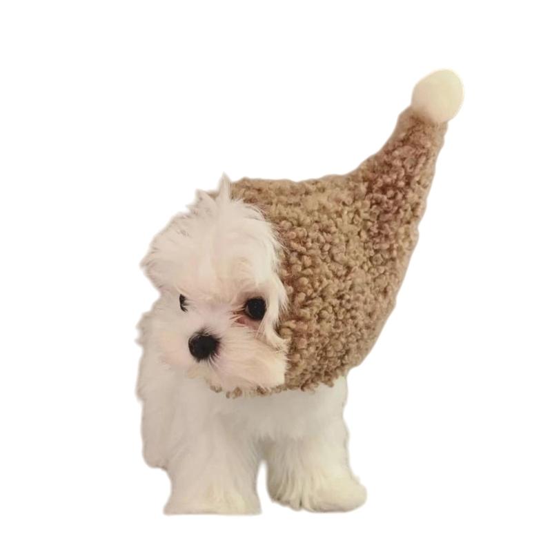 

Soft Winter Pet Fleece Hat For Small Dogs and Cats Cosplay Headwear Perfect For Christmas And Holiday Festivities Gift 1