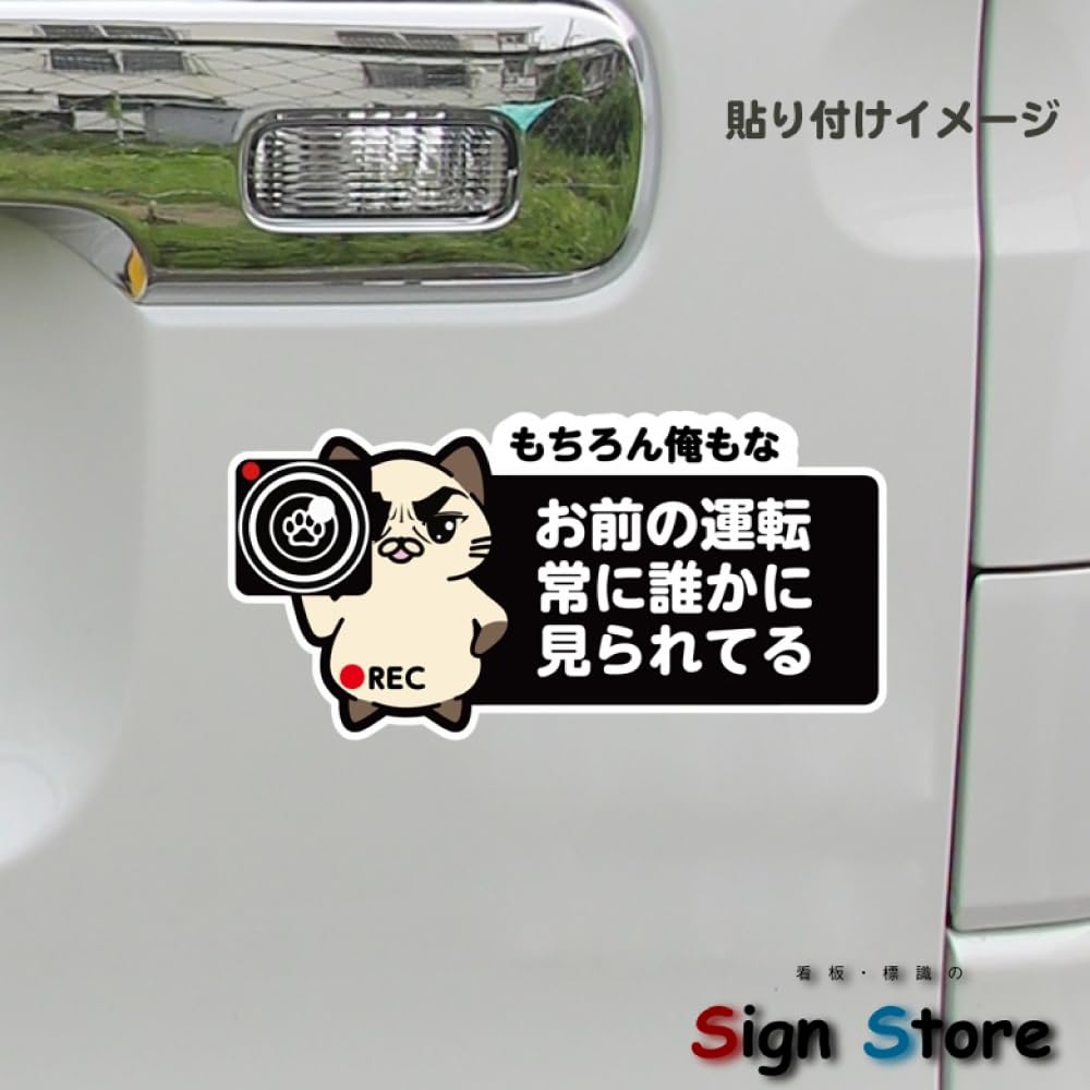 SignStore Cat Holding Camera Traffic Safety Sticker 8cm x 16cm Vinyl Made in Japan car_character_01 (Tai Mayu A)