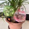 Plant Watering Devices with Covers Garden Water Device Plastic Water Bulbs for Automatic Drip Irrigation Indoor/Outdoor