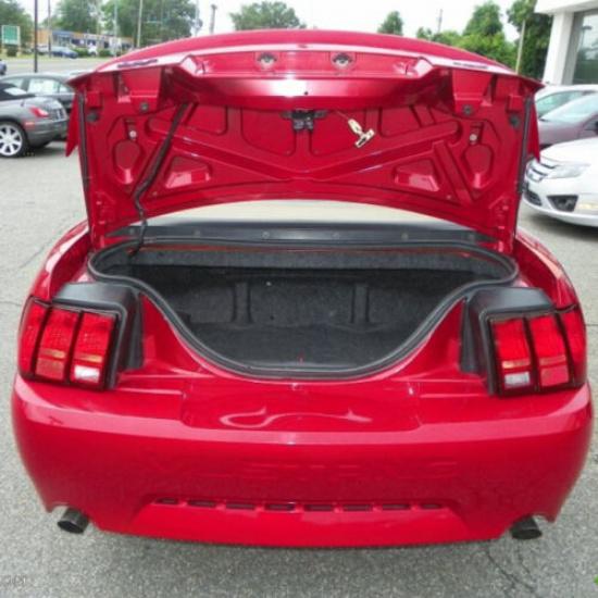 2x Rear Hatch Tailgate Gas Shock Struts Lift Support For Ford Mustang 1999-04