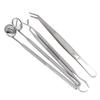 5pcs Professional Oral Health Care Pick Tools Stainless Steel Teeth Cleansing Calculus Remover Tool