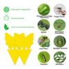 30-10PC Heterotypic Sticky Insect Board for Home Courtyard Flower Pest Control Catcher, Flower Pot, Garden Flower Insect Heterotypic Trap