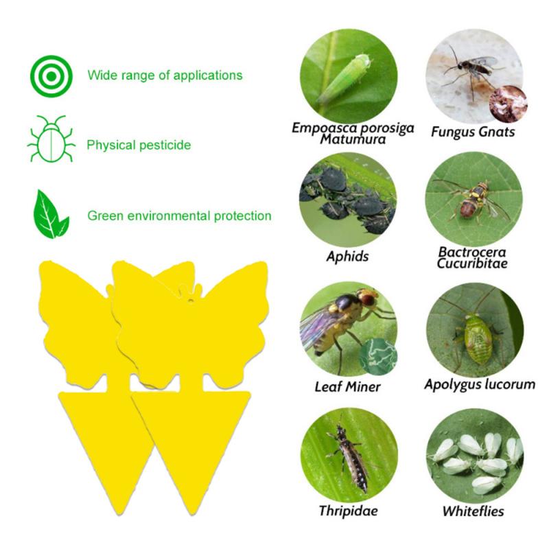 30-10PC Heterotypic Sticky Insect Board for Home Courtyard Flower Pest Control Catcher, Flower Pot, Garden Flower Insect Heterotypic Trap