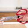 COOKER KING Kitchen Shears