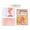 Ear Seeds Bianstone Ear Acupuncture Massage Auricular Sticker Kit Therapy Needle Patch Seeds Sticker Auriculotherapy Kit