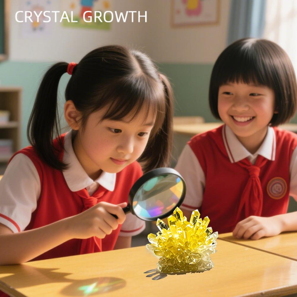 Crystal Planting DIY Scientific Experiment Set Chemical Experiment Educational Toy Handmade Toys Gift for Children Kid