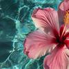 Turquoise Hibiscus Water Ring Soft Flannel Blanket Breathable Warm Throw for Office Car Sofa Kids Room Birthday Xmas Gift