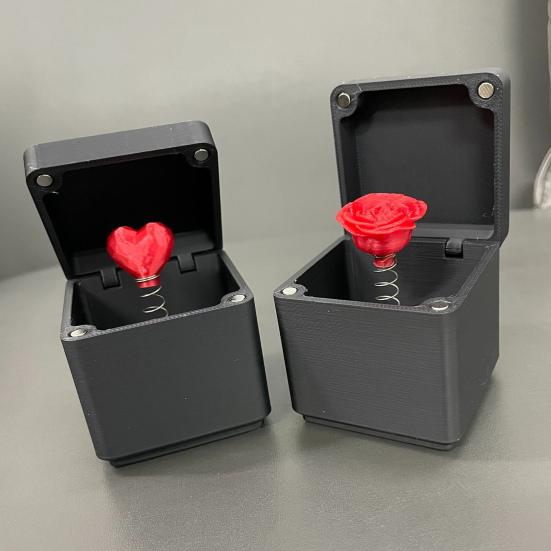 Pop Up Box Ornament Red Rose And Red Love Heart In Box 3D Printed Box with Poo Skull Inside Gag Gift for Christmas Birthday Valentine's Day