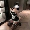 Night Crisp Lingerie Maid Maid Outfit Sexy Nightdress Sex Fun Pure Lust Seduction Passion Uniform Pure Lust Suit
