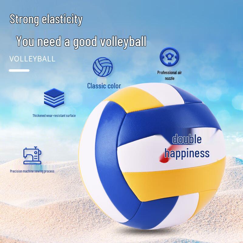 DHS Competition & Training Volleyball - Size 5