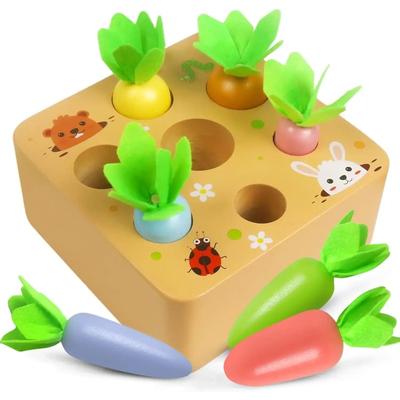 Lernspielzeug & Entwicklungsförderung – Lernspielzeug