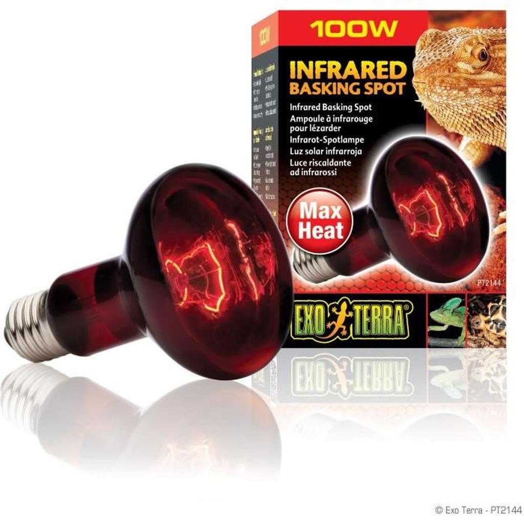 Heating Bulb for Terrarium - EXO TERRA - Basking Spot - Infrared Heat - 100W