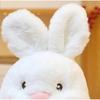 Rabbit Stuffed Animal Plush Toy, Rabbit Pillow, Gifts for Boys Girls
