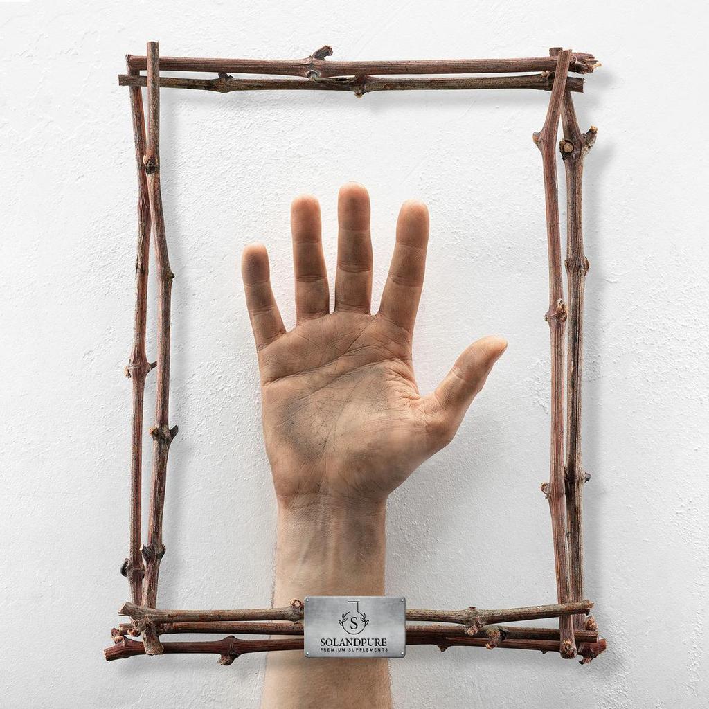 Cúrcuma Complex 360 Cápsulas Vegetales | Pack Ahorro | Vegano | Con Jengibre y Pimienta Negra | Alta Absorción | Calidad Premium Solandpure®