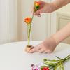 Test Tube Vase Glass Hydroponic Vase with Wooden Stand Desktop Transparent Tube Vase for Plants And Cut Flowers Flower Arrangement