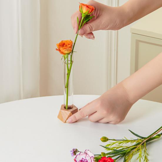 Test Tube Vase Glass Hydroponic Vase with Wooden Stand Desktop Transparent Tube Vase for Plants And Cut Flowers Flower Arrangement