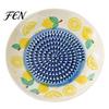 Fruit Vegetable Grater Ceramic Garlic Plate, Print Ginger Cheese Manual Grinder, Vegetables Multi-function Kitchen Mincer Dish for Onion, Lemon,