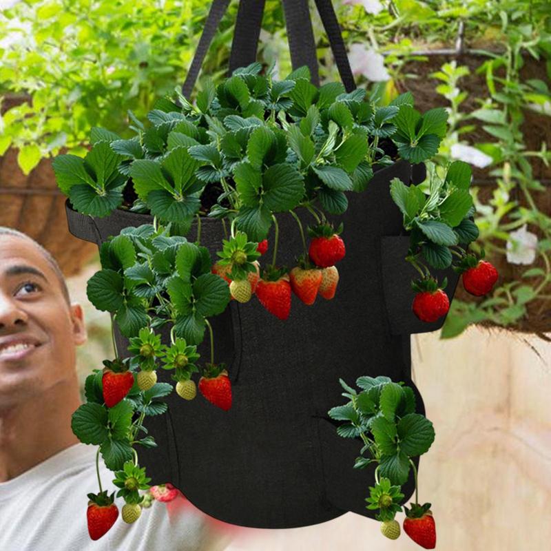 Strawberry Bags For Growing Hangable Tomato Planter 5 Gallon Breathable Felt Plant Grow Container For Garden Strawberries