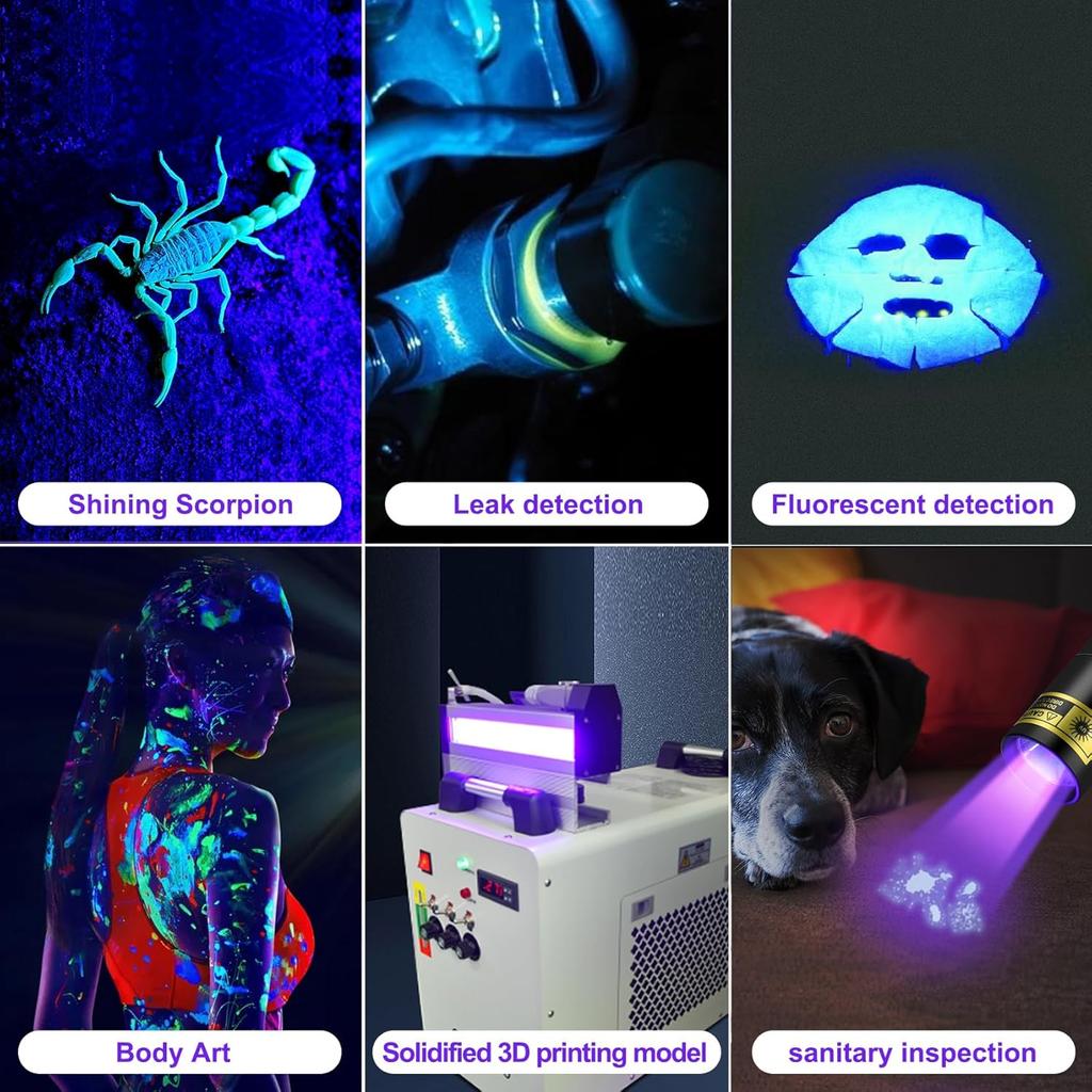 UV Flashlight Rechargeable 395nm Black Light for Pet Urine Detection, USB - C Portable Blacklight Mini Powerful Woods Lamp LED ultra violet