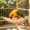Bird Desensitization Tool Parrot Training Fake Hand Perch, Simulated Human Taming Toy Perch with Grinding Surface, Safe Anti?Bite Stand for