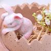Cute Easters Bunnies and Eggshell Planter Funny Succulents Plant Flower Pots Indoor Bonsais Holder Container Decors